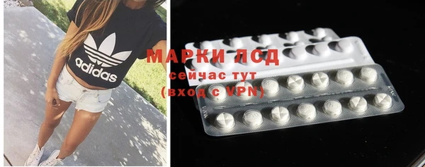 ГАЛЛЮЦИНОГЕННЫЕ ГРИБЫ Алексин