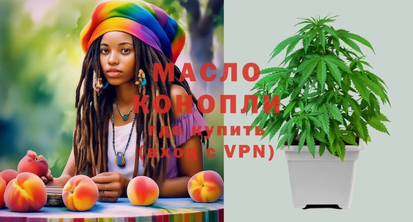 гашик Алексеевка